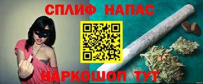 крисы Тверь