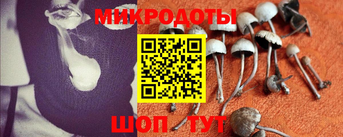 Галлюциногенные грибы GOLDEN TEACHER  хочу   Новошахтинск  Вход с VPN 